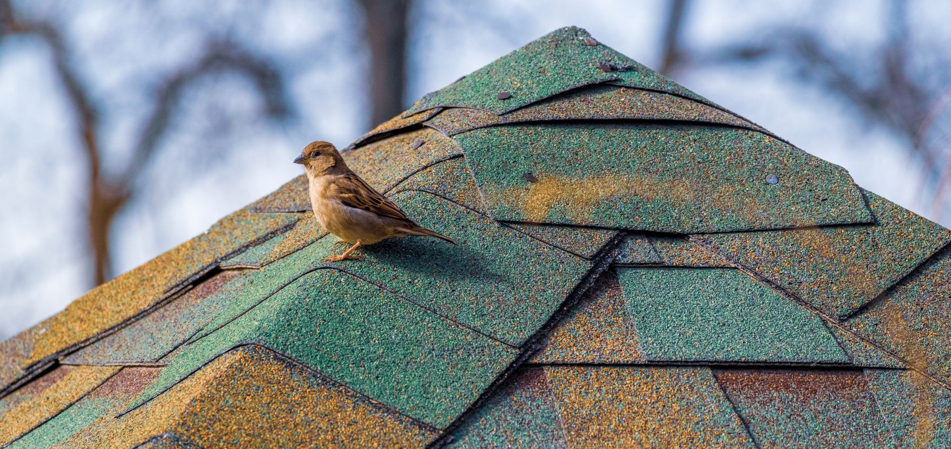 Ventilation Installation — Texas Restore